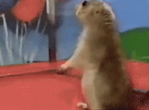 63dbf32313ae03aa043eb744_Dramatic-chipmunk-who-is-really-a-prairie-dog-filling-in-for-a-groundhog-3