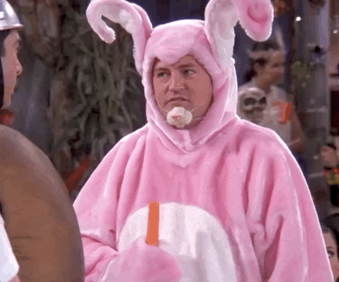 gif bunny friends