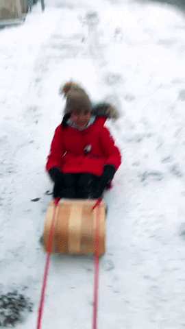 sled in snow