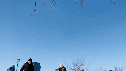 giphy-Dec-02-2022-10-04-57-5899-PM