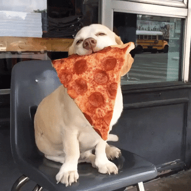 giphy-Oct-15-2022-12-24-32-85-PM